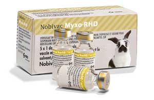 Het nieuwe vaccin Myxo-RHD
